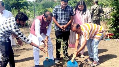Planted Tress : मुख्यमंत्री शिवराज चौहान ने पीपल, आम और इमली के पौधे लगाए Planted Tress : मुख्यमंत्री शिवराज चौहान ने पीपल, आम और इमली के पौधे लगाए