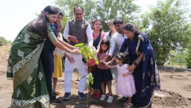 Tree Plantation : मुख्यमंत्री शिवराज चौहान ने कचनार, बरगद और आम के पौधे रोपे Tree Plantation : मुख्यमंत्री शिवराज चौहान ने कचनार, बरगद और आम के पौधे रोपे