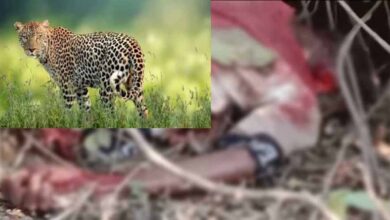 बजट में ई -वे बिल की लिमिट बढ़ाने और वेट में छूट की घोषणा पर छत्तीसगढ़ चैंबर ऑफ कॉमर्स ने मुख्यमंत्री साय के प्रति किया आभार प्रकट