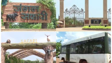 Jungle Safari Raipur: जंगल सफारी-नंदनवन जू घूमना हुआ महंगा, 50% तक बढ़े टिकट के दाम