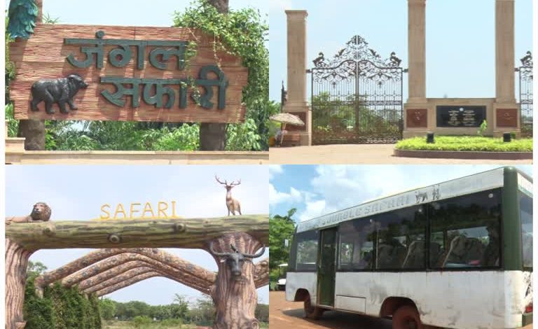 Jungle Safari Raipur: जंगल सफारी-नंदनवन जू घूमना हुआ महंगा, 50% तक बढ़े टिकट के दाम Jungle Safari Raipur: जंगल सफारी-नंदनवन जू घूमना हुआ महंगा, 50% तक बढ़े टिकट के दाम