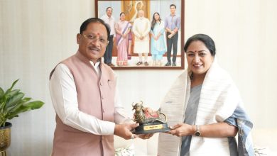 नई दिल्ली में मुख्यमंत्री विष्णु देव साय ने दिल्ली की मुख्यमंत्री रेखा गुप्ता से की सौजन्य भेंट