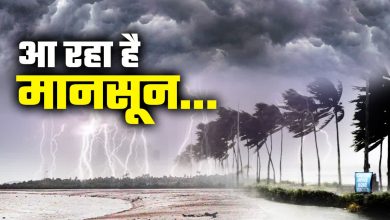 मानसून ने कवर किए 13 राज्य, अगले सप्ताह तक CG-MP में होगी एंट्री