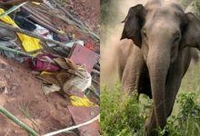 CG NEWS: सड़क निर्माण कार्य के दौरान हाथी का हमला, दो श्रमिकों को कुचलकर मार डाला, इलाके में दहशत CG NEWS: सड़क निर्माण कार्य के दौरान हाथी का हमला, दो श्रमिकों को कुचलकर मार डाला, इलाके में दहशत