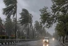 CG Weather Update: आज 50Km रफ्तार से चलेगी हवा:कई जिलों में गरज-चमक के साथ बारिश होगी, 5 दिन बदला रहेगा मौसम, मानसून की रफ्तार तेज होगी