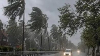 CG Weather Update: आज 50Km रफ्तार से चलेगी हवा:कई जिलों में गरज-चमक के साथ बारिश होगी, 5 दिन बदला रहेगा मौसम, मानसून की रफ्तार तेज होगी