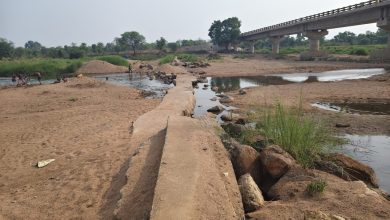 CM साय ने सुपेबेड़ा को दी ‘संजीवनी’ : 7 करोड़ का एनीकट बनेगा जलप्रदाय योजना का सपोर्ट सिस्टम, किसानों को सिंचाई का मिलेगा लाभ CM साय ने सुपेबेड़ा को दी ‘संजीवनी’ : 7 करोड़ का एनीकट बनेगा जलप्रदाय योजना का सपोर्ट सिस्टम, किसानों को सिंचाई का मिलेगा लाभ