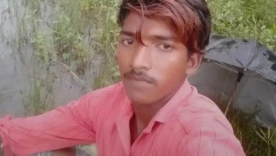 CG BREAKING : शेरनी के हमले से युवक की मौत, मचा हड़कं