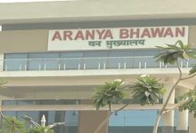 प्रशिक्षु IFS अधिकारियों को मिली पहली फील्ड पोस्टिंग, जानिए किसे मिली किस वनमंडल की जिम्मेदारी