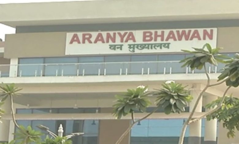 प्रशिक्षु IFS अधिकारियों को मिली पहली फील्ड पोस्टिंग, जानिए किसे मिली किस वनमंडल की जिम्मेदारी