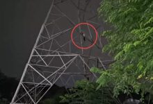 भाई से विवाद के बाद टावर पर चढ़ा युवक, VIDEO:150 फीट ऊंचे टावर पर 2 घंटे बैठा रहा