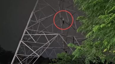 भाई से विवाद के बाद टावर पर चढ़ा युवक, VIDEO:150 फीट ऊंचे टावर पर 2 घंटे बैठा रहा
