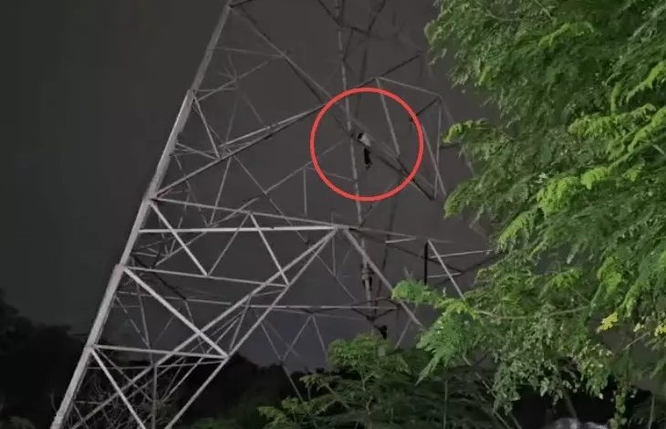 भाई से विवाद के बाद टावर पर चढ़ा युवक, VIDEO:150 फीट ऊंचे टावर पर 2 घंटे बैठा रहा भाई से विवाद के बाद टावर पर चढ़ा युवक, VIDEO:150 फीट ऊंचे टावर पर 2 घंटे बैठा रहा