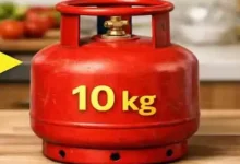 एप से होगी बुकिंग; 15 अगस्त को होगा शुभारंभ: छत्तीसगढ़ में पहली बार 10 किलो वाला सिलेंडर, कीमत 730 रुपए तक