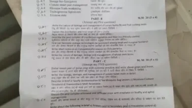 IGKV में बीएससी सेकेंड ईयर का पेपर लीक, परीक्षा रद्द, जांच के लिए 5 सदस्यीय कमेटी गठित
