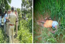 फसल की रखवाली करने खेत गया था किसान, करंट की चपेट में आकर गई जान रखवाली करने खेत गया था किसान, करंट की चपेट में आकर गई जान फसल की रखवाली करने खेत गया था किसान, करंट की चपेट में आकर गई जान रखवाली करने खेत गया था किसान, करंट की चपेट में आकर गई जान