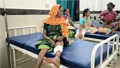 CG News: आवारा कुत्ते ने 13 लोगों को काटा, तीन की हालत गंभीर