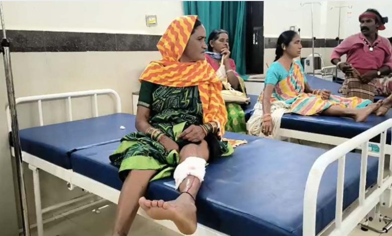 CG News: आवारा कुत्ते ने 13 लोगों को काटा, तीन की हालत गंभीर