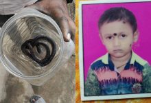 बिस्तर में छिपे सांप ने 10 साल के बच्चे को डंसा, इलाज के दौरान मौत