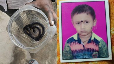 बिस्तर में छिपे सांप ने 10 साल के बच्चे को डंसा, इलाज के दौरान मौत बिस्तर में छिपे सांप ने 10 साल के बच्चे को डंसा, इलाज के दौरान मौत