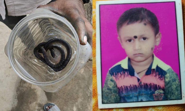 बिस्तर में छिपे सांप ने 10 साल के बच्चे को डंसा, इलाज के दौरान मौत बिस्तर में छिपे सांप ने 10 साल के बच्चे को डंसा, इलाज के दौरान मौत