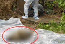 लिव-इन-पार्टनर ने गर्लफ्रेंड को मारकर सेप्टिक टैंक में छिपाया:रक्षाबंधन पर घर नहीं आई तो भाइयों ने ढूंढा, बदबू से खुला राज
