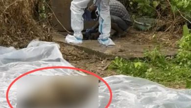 लिव-इन-पार्टनर ने गर्लफ्रेंड को मारकर सेप्टिक टैंक में छिपाया:रक्षाबंधन पर घर नहीं आई तो भाइयों ने ढूंढा, बदबू से खुला राज लिव-इन-पार्टनर ने गर्लफ्रेंड को मारकर सेप्टिक टैंक में छिपाया:रक्षाबंधन पर घर नहीं आई तो भाइयों ने ढूंढा, बदबू से खुला राज