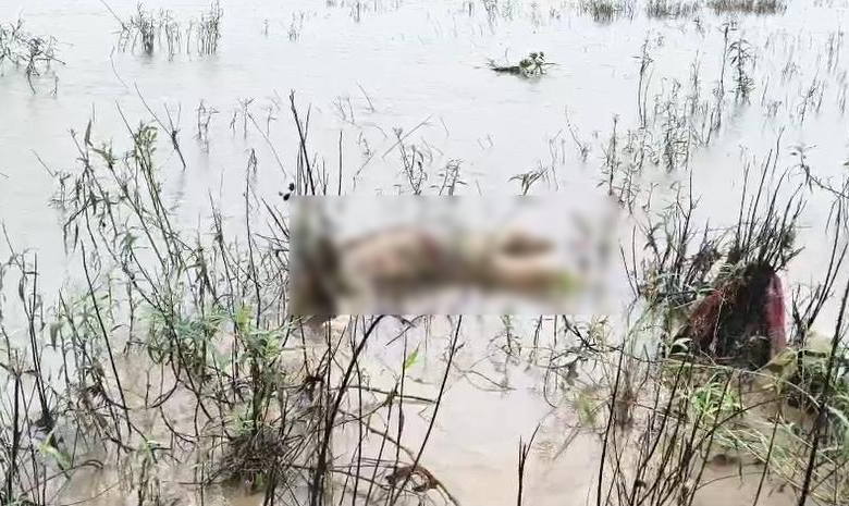 नदी में मिली अज्ञात व्यक्ति की लाश, क्षत-विक्षत हालत में बहकर आया शव नदी में मिली अज्ञात व्यक्ति की लाश, क्षत-विक्षत हालत में बहकर आया शव