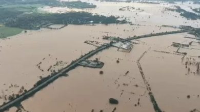 जगदलपुर में बाढ़ से तबाही का ड्रोन VIDEO, इंद्रावती नदी का 50 साल का रिकॉर्ड टूटा, 833 लोगों का रेस्क्यू, 65 शिविरों में 8,894 लोग