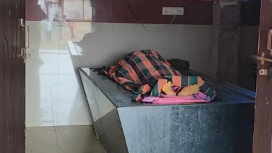 तीजा मनाने मायके आई महिला को करैत ने डसा, मौत:बालोद में बहनों के साथ जमीन पर सोई थी, अस्पताल पहुंचने में हुई