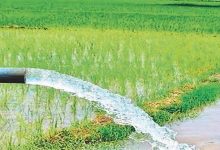 किसानों को बड़ी सौगात: सात सिंचाई योजनाओं के लिए 30.74 करोड़ स्वीकृत, नहरों के जीर्णाेद्धार सहित होंगे कई महत्वपूर्ण काम