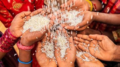 CG NEWS : राशन कार्ड धारकों के लिए बड़ी राहत, अब 15 अक्टूबर तक मिलेगा सितंबर-अक्टूबर का दो महीने का चावल