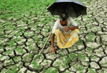 इस साल मानसून में 12.6% कम बारिश:खेती, पानी और बिजली पर बड़ा असर; महाराष्ट्र के 305, कर्नाटक के 217 तालुका सूखाग्रस्त