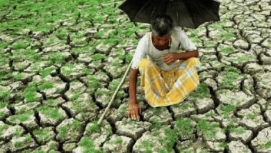 इस साल मानसून में 12.6% कम बारिश:खेती, पानी और बिजली पर बड़ा असर; महाराष्ट्र के 305, कर्नाटक के 217 तालुका सूखाग्रस्त