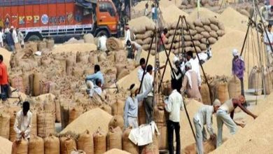 धान बेचने के लिए अब सोसायटियों में लंबी कतारों की जरूरत नहीं, ‘तुंहर टोकन’ एप से घर बैठे मिलेगा टोकन
