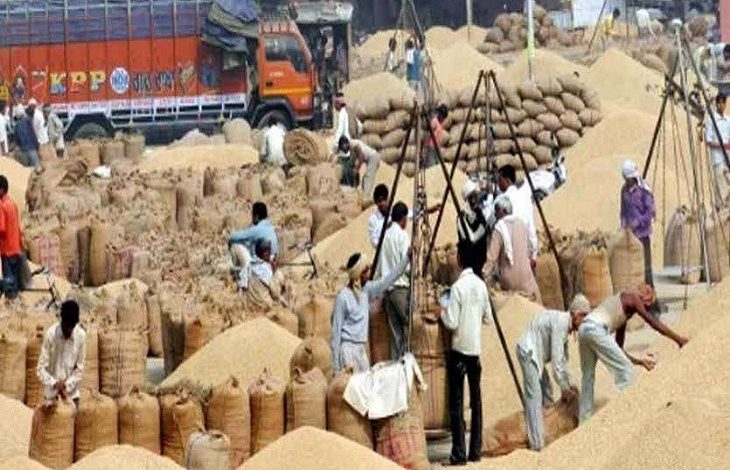 धान बेचने के लिए अब सोसायटियों में लंबी कतारों की जरूरत नहीं, ‘तुंहर टोकन’ एप से घर बैठे मिलेगा टोकन धान बेचने के लिए अब सोसायटियों में लंबी कतारों की जरूरत नहीं, ‘तुंहर टोकन’ एप से घर बैठे मिलेगा टोकन